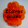 FlowerPower-Galerie