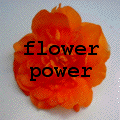 FlowerPower-Galerie