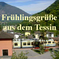Tessin 2002